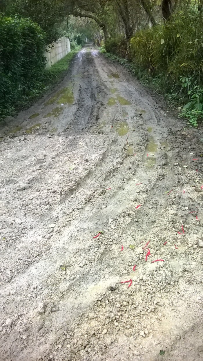 WP_20170823_08_26_50_Pro