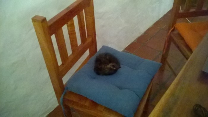 WP_20170908_15_07_42_Pro