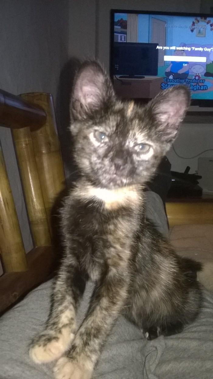 WP_20170910_17_48_41_Pro