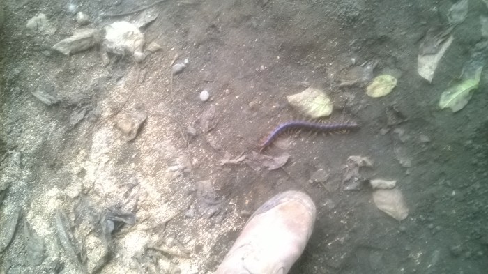 WP_20170913_13_58_39_Pro