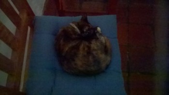 WP_20171118_14_11_11_Pro