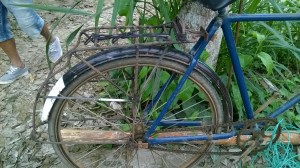 WP_20171201_13_13_41_Pro