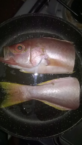 WP_20180205_16_06_09_Pro