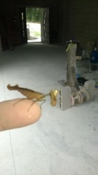 WP_20180409_09_41_04_Pro