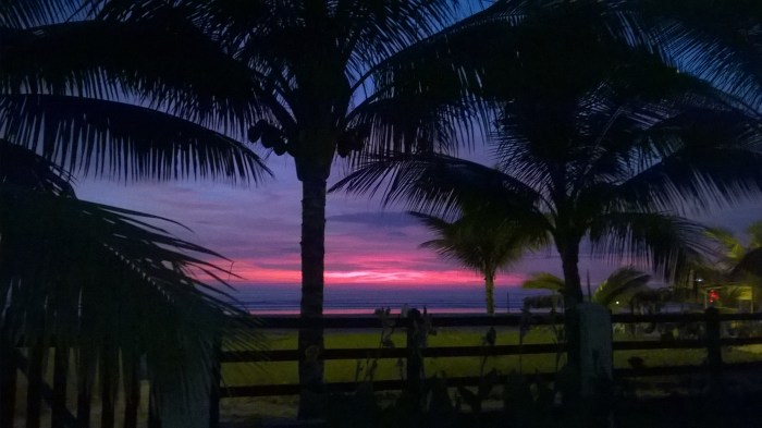 WP_20180413_18_44_48_Pro