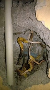 WP_20180420_18_33_12_Pro