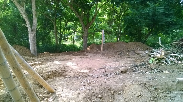 WP_20180430_15_59_33_Pro