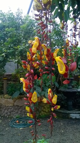 WP_20180509_10_48_29_Pro