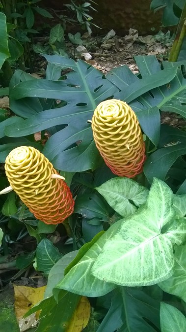 WP_20180509_10_49_57_Pro