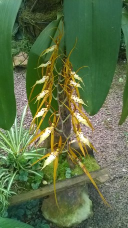 WP_20180509_10_50_56_Pro