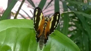 WP_20180509_10_58_21_Pro