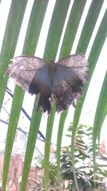 WP_20180509_11_29_57_Pro