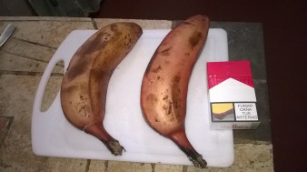 WP_20180603_16_41_36_Pro