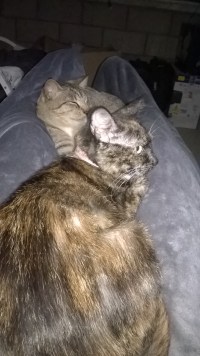 WP_20180810_23_35_50_Pro